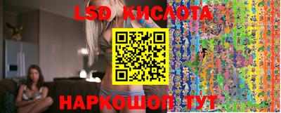 ГАЛЛЮЦИНОГЕННЫЕ ГРИБЫ Тара