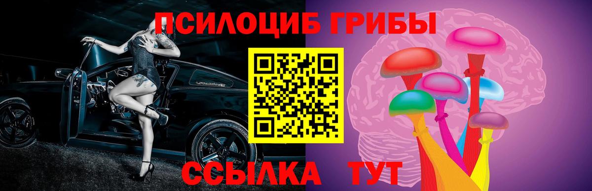 Галлюциногенные грибы MAGIC MUSHROOMS  Вход с VPN  цены   Галлюциногенные грибы GOLDEN TEACHER  Похвистнево 